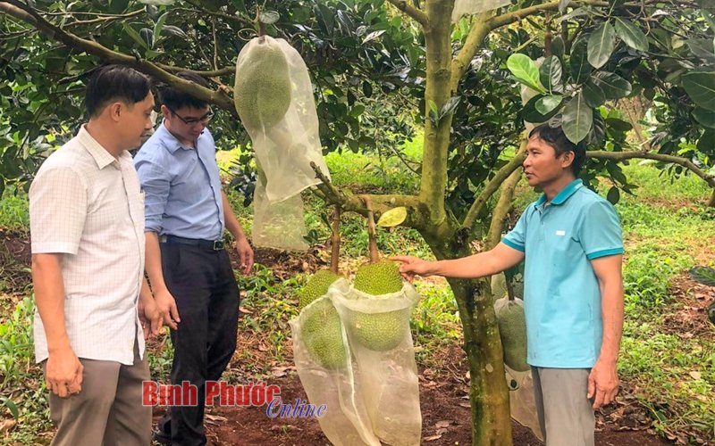 Phát triển nông nghiệp sạch ở vùng biên Phát triển nông nghiệp sạch ở vùng biên