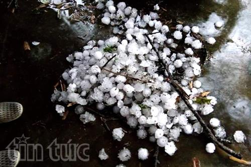 Mưa đá to kỷ lục tàn phá Tuyên Quang Mưa đá to kỷ lục tàn phá Tuyên Quang