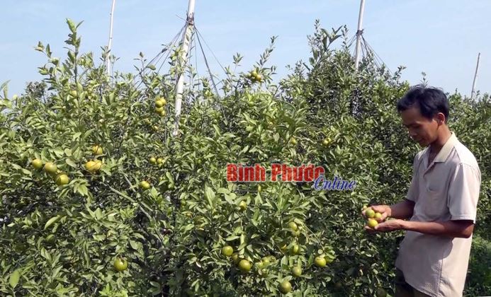 Nông dân Thanh Lương gồng mình chống hạn Nông dân Thanh Lương gồng mình chống hạn