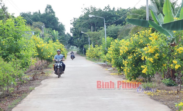 Đề nghị công nhận xã Tiến Hưng đạt nông thôn mới nâng cao năm 2020 Đề nghị công nhận xã Tiến Hưng đạt nông thôn mới nâng cao năm 2020