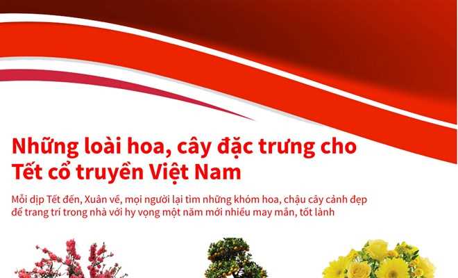 Những loài hoa, cây đặc trưng cho Tết cổ truyền Việt Nam