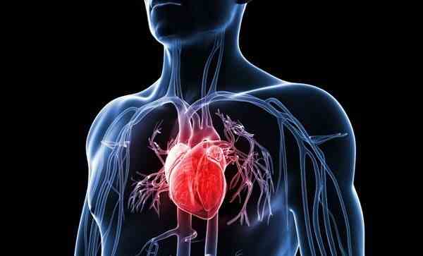 Điều trị sớm cholesterol cao giúp ngăn chặn nguy cơ bệnh tim, đột quỵ Điều trị sớm cholesterol cao giúp ngăn chặn nguy cơ bệnh tim, đột quỵ