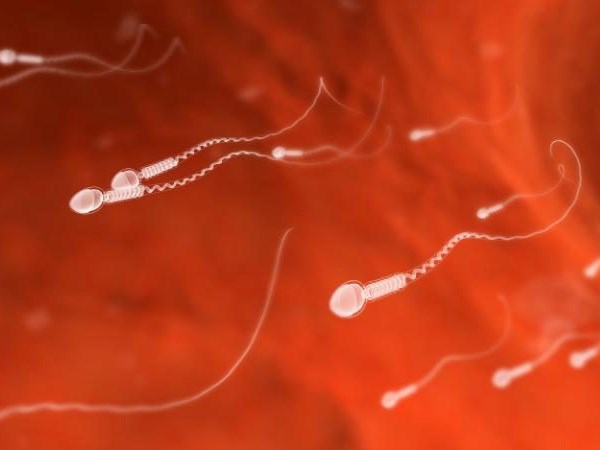Bước đột phá mới giúp tạo ra tinh trùng từ tế bào da người Bước đột phá mới giúp tạo ra tinh trùng từ tế bào da người