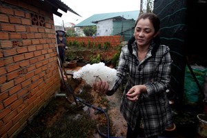 Mưa đá, gió lốc mạnh lại ập xuống Cao nguyên Đồng Văn Mưa đá, gió lốc mạnh lại ập xuống Cao nguyên Đồng Văn