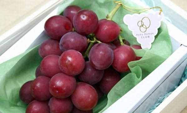 Kinh ngạc trước mức giá siêu đắt của giống nho thượng hạng Ruby Roman Kinh ngạc trước mức giá siêu đắt của giống nho thượng hạng Ruby Roman