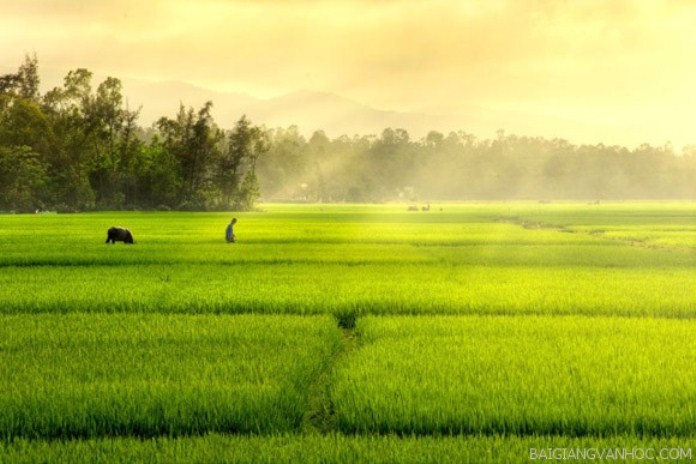 0b537573_0bad_4384_85d3_90fce8c8e9ea_08290611022023.jpeg