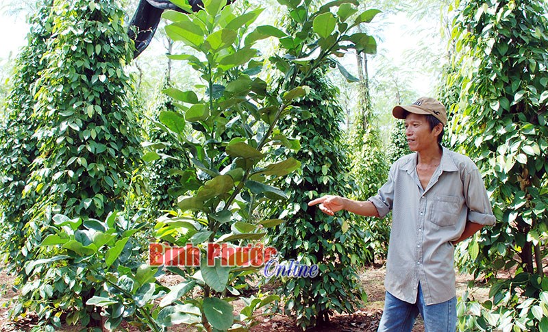 Nhà nông thông minh Nhà nông thông minh