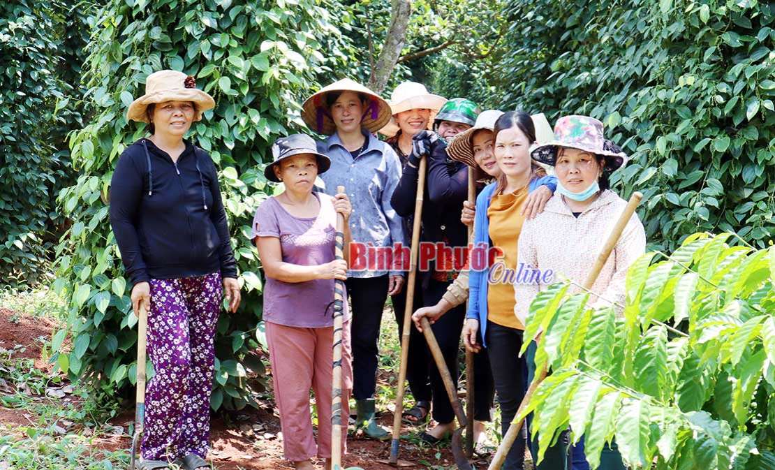 Phụ nữ giúp nhau vươn lên trong cuộc sống