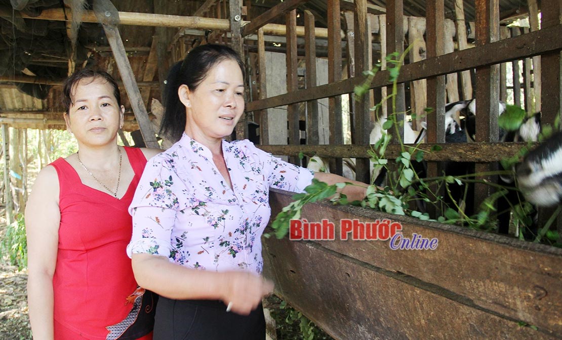 Phụ nữ Bù Đốp đa dạng mô hình tập hợp hội viên Phụ nữ Bù Đốp đa dạng mô hình tập hợp hội viên
