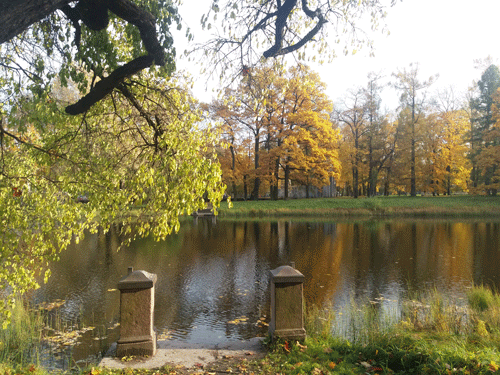 1023102018102952.gif