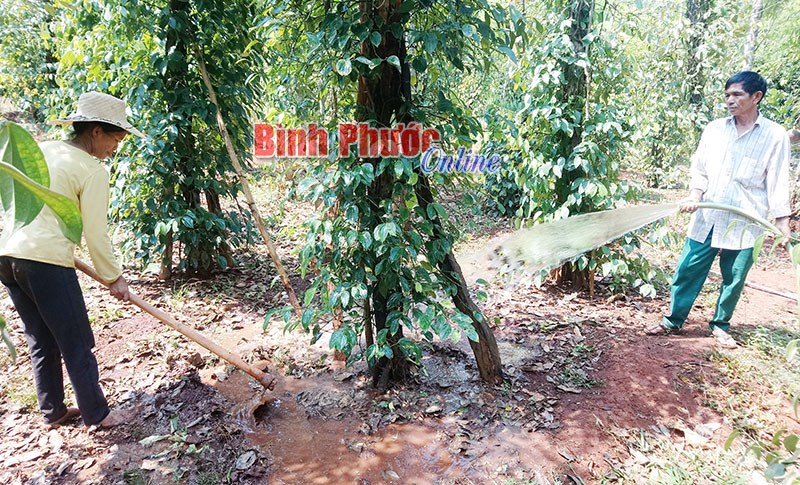 Sản xuất nông nghiệp trước nguy cơ khô hạn
