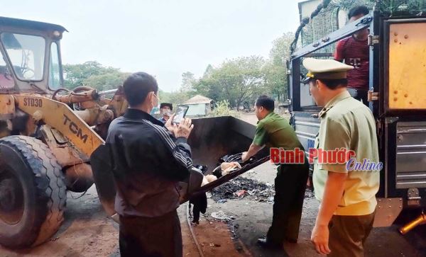 Tiêu hủy 310kg thịt vịt không rõ nguồn gốc xuất xứ Tiêu hủy 310kg thịt vịt không rõ nguồn gốc xuất xứ