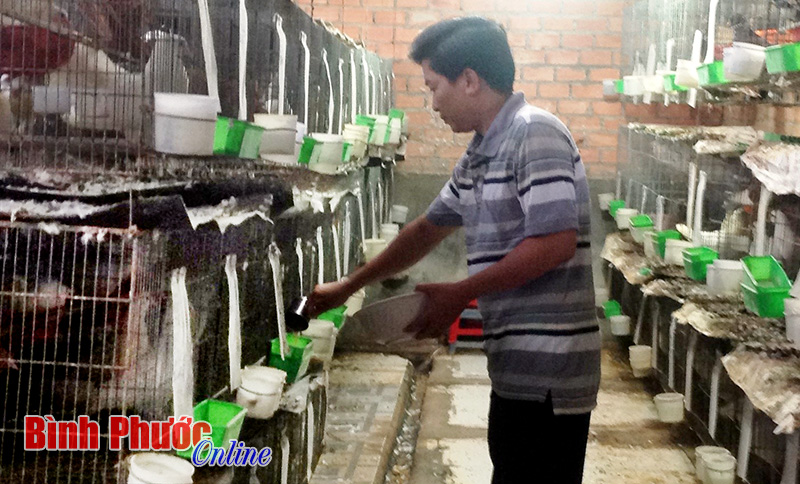 10 mô hình sản xuất hiệu quả 10 mô hình sản xuất hiệu quả
