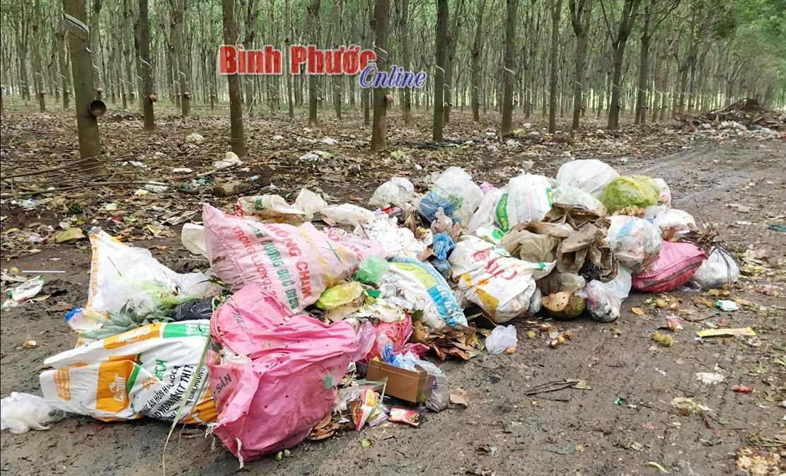 Nguy cơ lây lan dịch bệnh từ điểm tập kết rác chứa nội tạng lợn Nguy cơ lây lan dịch bệnh từ điểm tập kết rác chứa nội tạng lợn