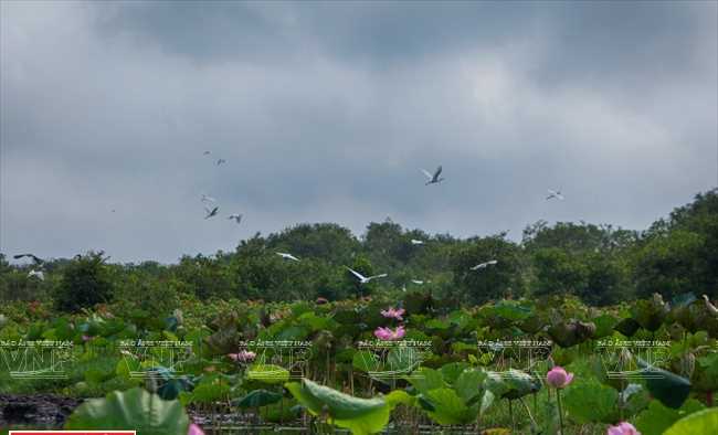 Ramsar Láng Sen hấp dẫn khách du lịch