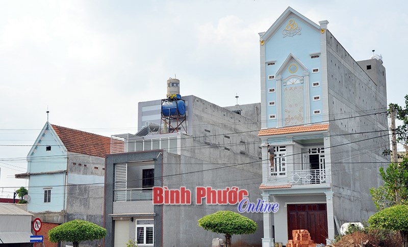 Nở rộ nghề “hái lộc trời” - Bài 1 Nở rộ nghề “hái lộc trời” - Bài 1
