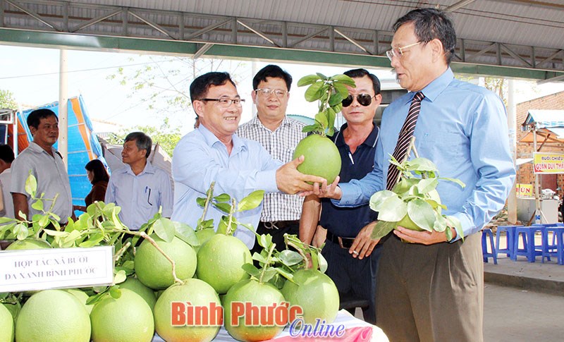 “Tam nông” trên đất Bình Phước - Bài 2 “Tam nông” trên đất Bình Phước - Bài 2