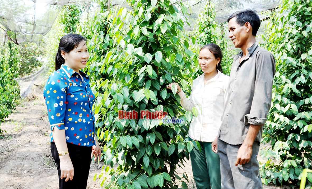 Điểm tựa cho hộ nghèo, gia đình chính sách Điểm tựa cho hộ nghèo, gia đình chính sách