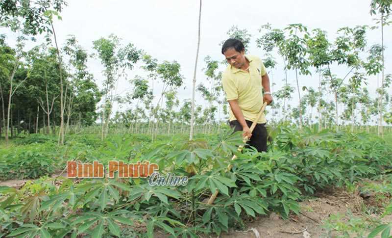 Xây dựng hệ thống cơ sở dữ liệu quốc gia về DTTS và chính sách dân tộc Xây dựng hệ thống cơ sở dữ liệu quốc gia về DTTS và chính sách dân tộc