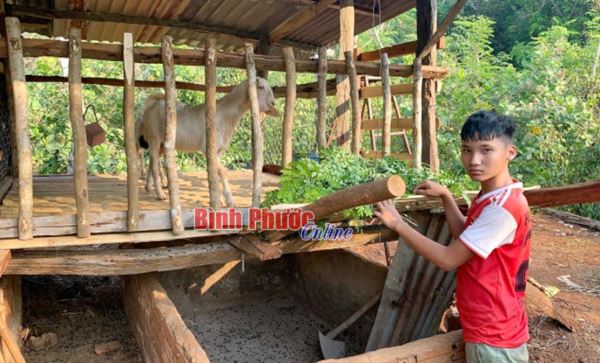 Em Bùi Hữu Thành rất cần được tiếp sức đến trường Em Bùi Hữu Thành rất cần được tiếp sức đến trường