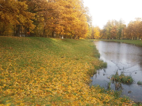 1123102018102952.gif
