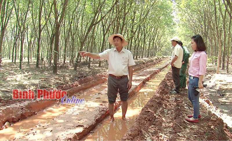 Sớm tu sửa đường vào tổ 11, ấp Đông Hồ Sớm tu sửa đường vào tổ 11, ấp Đông Hồ