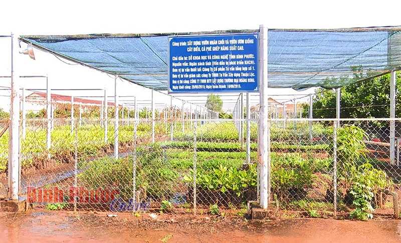 112 lớp tập huấn về cây trồng và vật nuôi 112 lớp tập huấn về cây trồng và vật nuôi