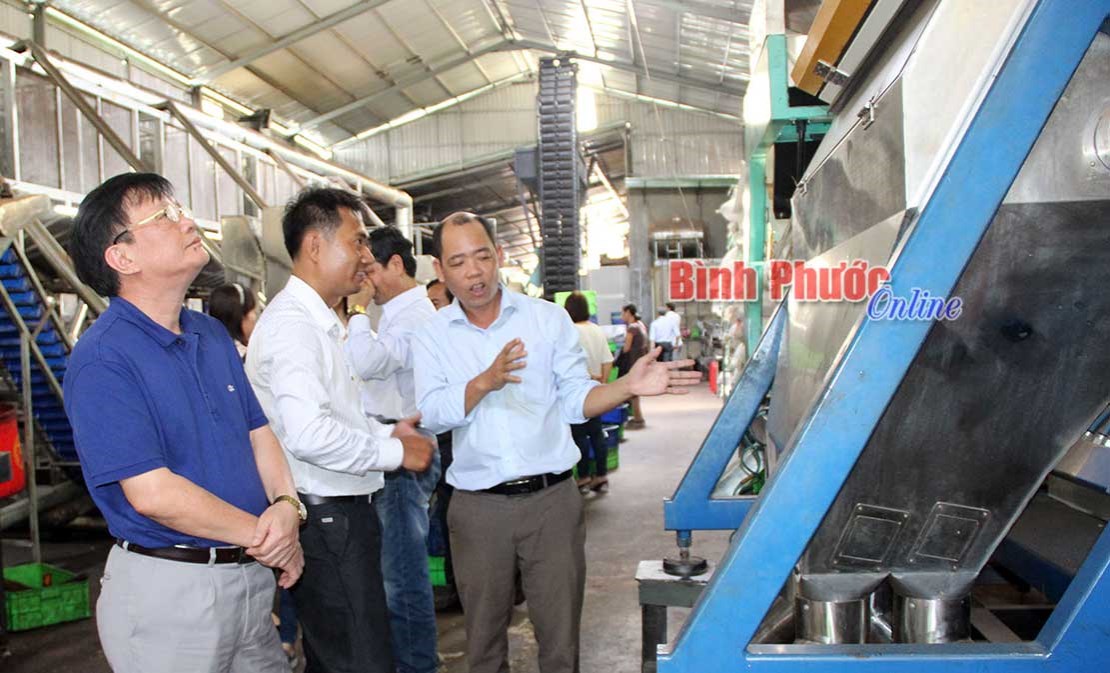 Công nghệ chế biến điều “made by” kỹ sư làng Công nghệ chế biến điều “made by” kỹ sư làng