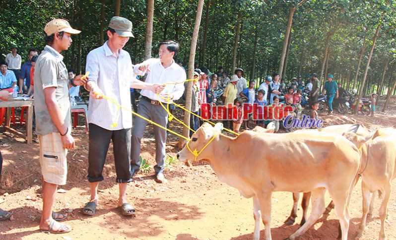 Chăm lo tốt đời sống đồng bào DTTS