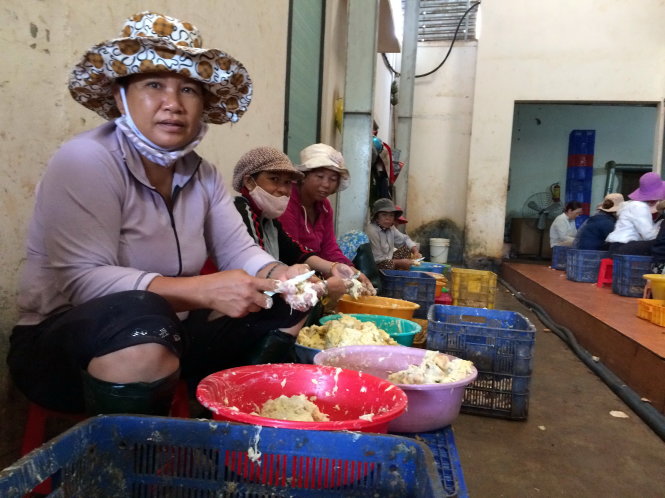 Công nhân ngộ độc vì nhúng sầu riêng vào hóa chất làm chín Công nhân ngộ độc vì nhúng sầu riêng vào hóa chất làm chín