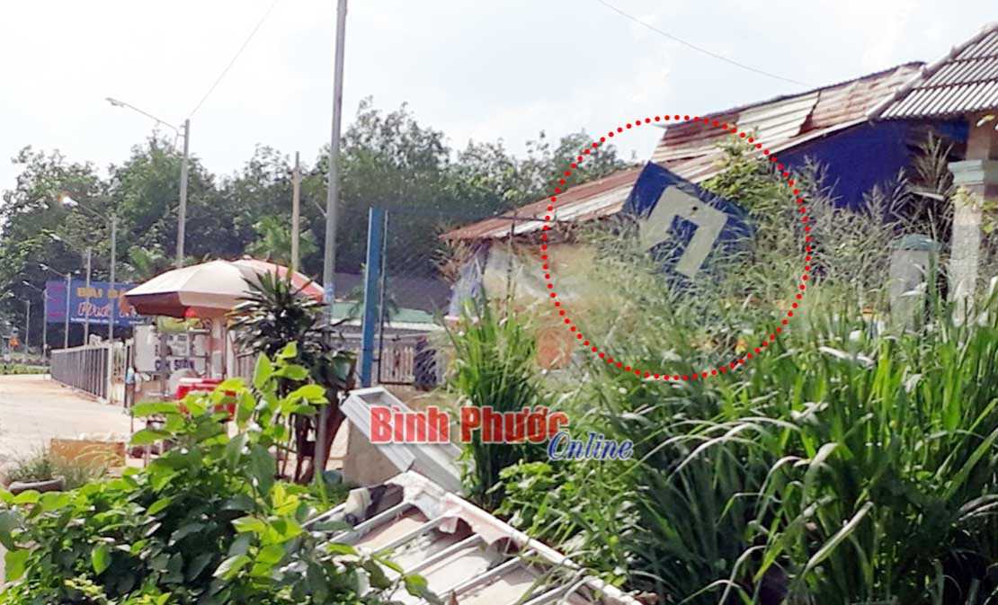 Biển báo trong bụi cỏ Biển báo trong bụi cỏ
