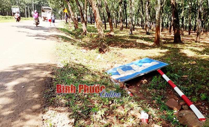 Biển báo nằm vệ đường Biển báo nằm vệ đường