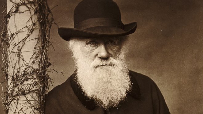 Các nhà khoa học đã tìm ra lời giải cho “thế lưỡng nan của Darwin”? Các nhà khoa học đã tìm ra lời giải cho “thế lưỡng nan của Darwin”?
