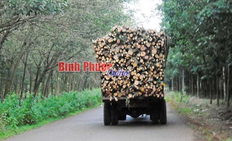 Không thể nặng hơn Không thể nặng hơn