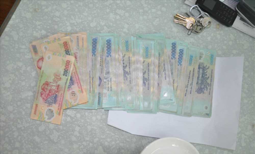 Ổ bạc trong vườn điều Ổ bạc trong vườn điều