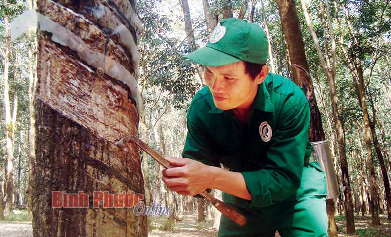 Công nhân DTTS tiêu biểu Ninh Văn Quyết