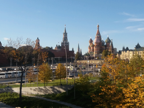 123102018102951.gif