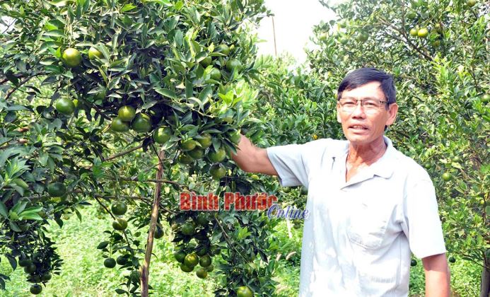 Nông nghiệp Bình Phước chủ động ứng phó với biến đổi khí hậu - Bài 1