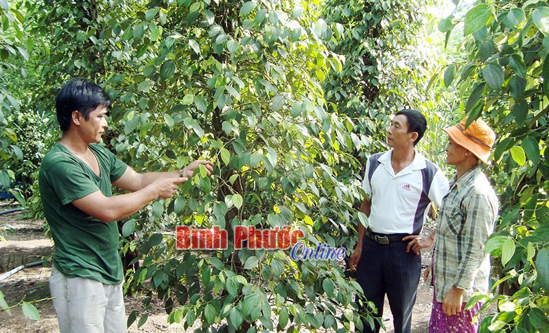 “Bà đỡ” của nông dân vùng biên “Bà đỡ” của nông dân vùng biên