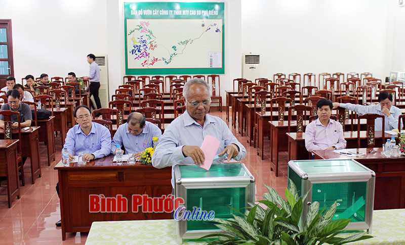 Cao su Phú Riềng đấu giá 97,02 ha cây cao su thanh lý Cao su Phú Riềng đấu giá 97,02 ha cây cao su thanh lý
