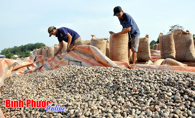 12 giải pháp thực hiện các chỉ tiêu kinh tế - xã hội năm 2016