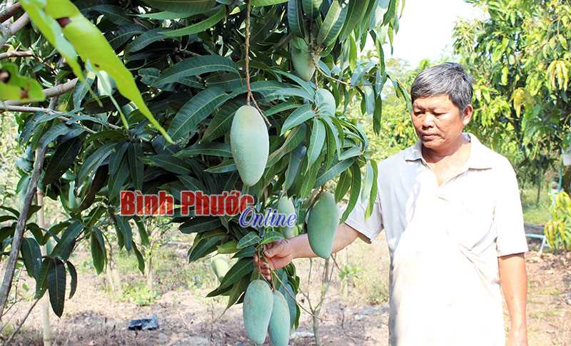Phát triển tổ hội nghề nghiệp xã Thanh An Phát triển tổ hội nghề nghiệp xã Thanh An