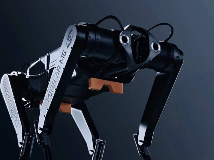 1302-Black-Panther-robot.jpg