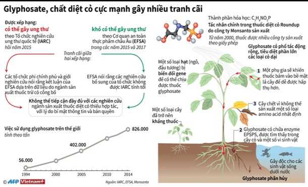[Infographics] Glyphosate - Chất diệt cỏ cực mạnh gây nhiều tranh cãi