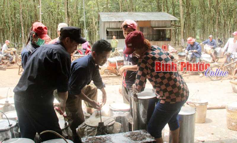 Anh Điểu Khắc Hổ: phúc khi là công nhân Nông trường 717 Anh Điểu Khắc Hổ: phúc khi là công nhân Nông trường 717