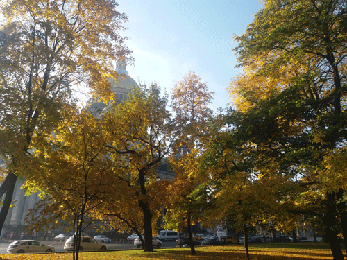 1423102018102953.gif
