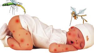 Nhiều bệnh sắp vào mùa