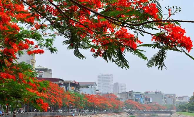 Mùa hạ cuối