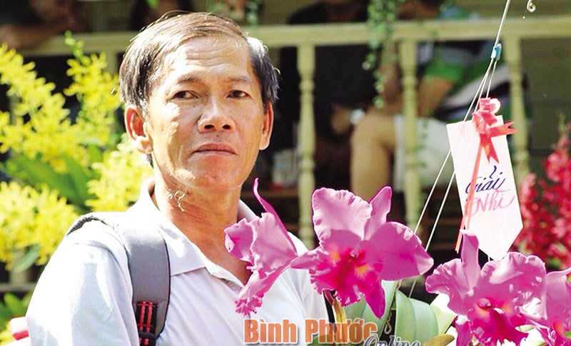 Sắc xuân đại ngàn nơi phố thị Sắc xuân đại ngàn nơi phố thị