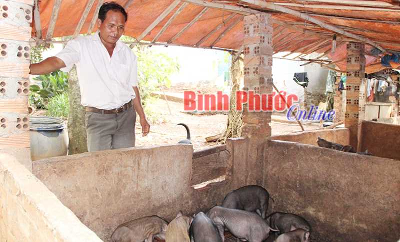 Năng động sản xuất - làm giàu không khó